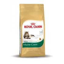 Royal Canin maine coon adult